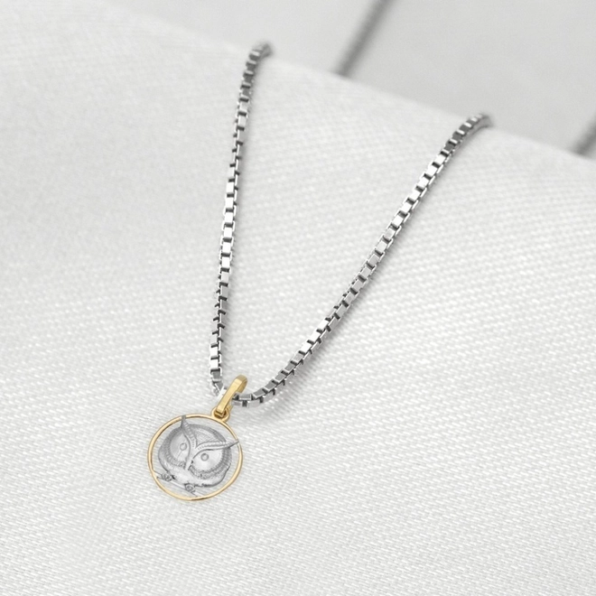 Corrente de Prata com Pingente de Formatura em Ouro 18k Profissão Letras P