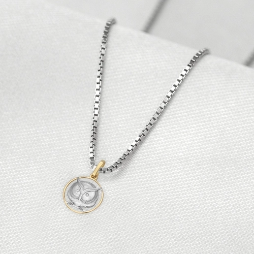 Corrente de Prata com Pingente de Formatura em Ouro 18k Profissão Letras P