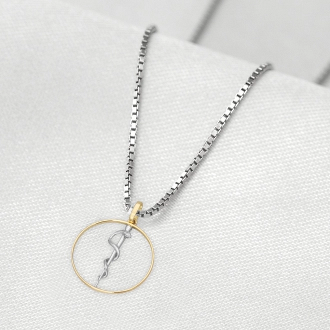 Corrente de Prata com Pingente de Formatura em Ouro 18k Profissão Odontologia