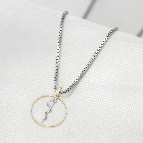 Corrente de Prata com Pingente de Formatura em Ouro 18k Profissão Odontologia
