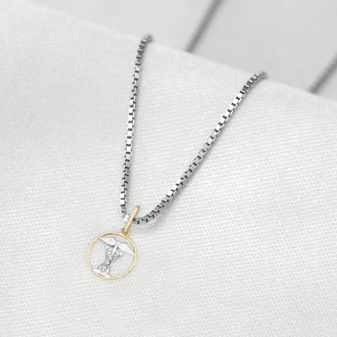 Corrente de Prata com Pingente de Formatura em Ouro 18k Profissão História P