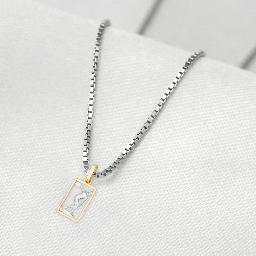 Corrente de Prata com Pingente de Formatura em Ouro 18k Profissão Educação Física P