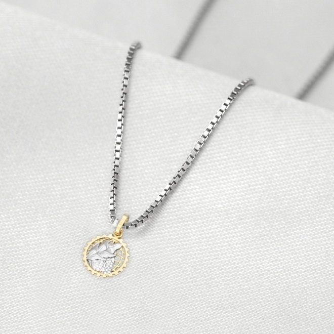 Corrente de Prata com Pingente de Formatura em Ouro 18k Profissão Economia P