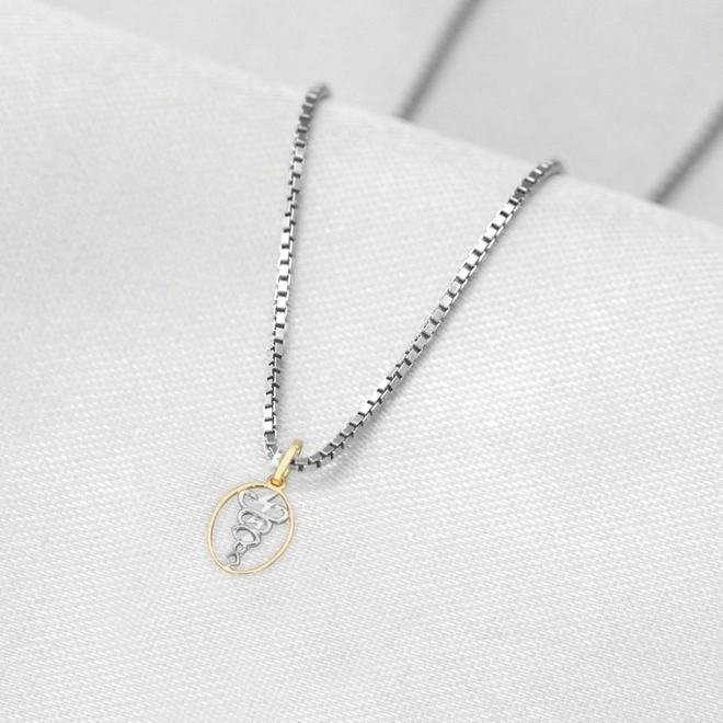 Corrente de Prata com Pingente de Formatura em Ouro 18k Profissão Fisioterapia P