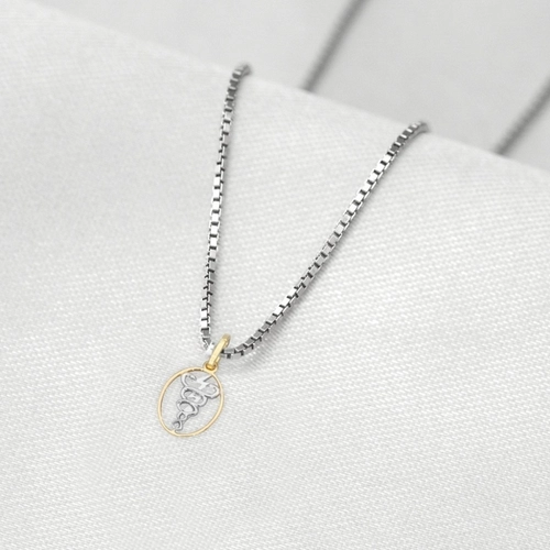 Corrente de Prata com Pingente de Formatura em Ouro 18k Profissão Fisioterapia P