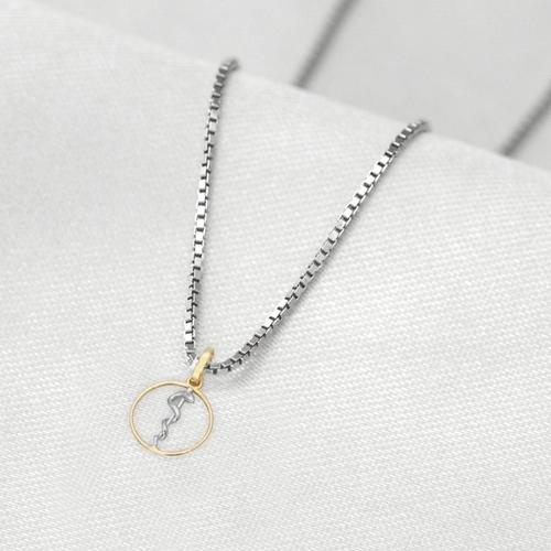 Corrente de Prata com Pingente de Formatura em Ouro 18k Profissão Odontologia P