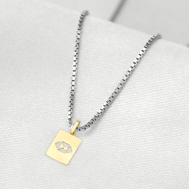 Corrente de Prata com Pingente de Formatura em Ouro 18k Profissão Administração