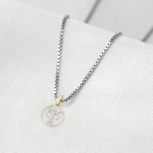 Corrente de Prata com Pingente de Formatura em Ouro 18k Profissão Ciências Contábeis P
