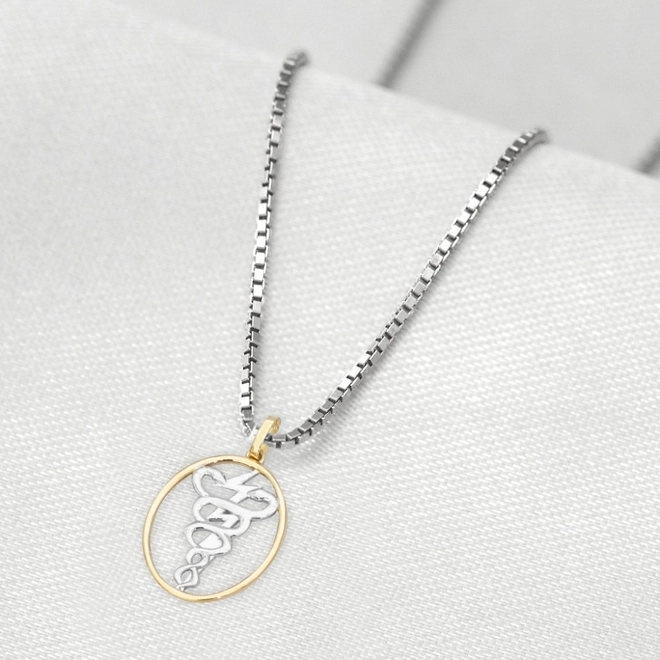 Corrente de Prata com Pingente de Formatura em Ouro 18k Profissão Fisioterapia