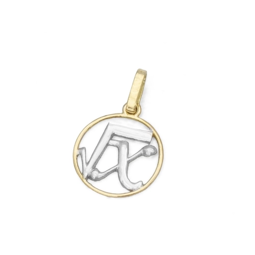 Pingente de Formatura Profissão Matemática em Ouro Amarelo e Ouro Branco 18K P