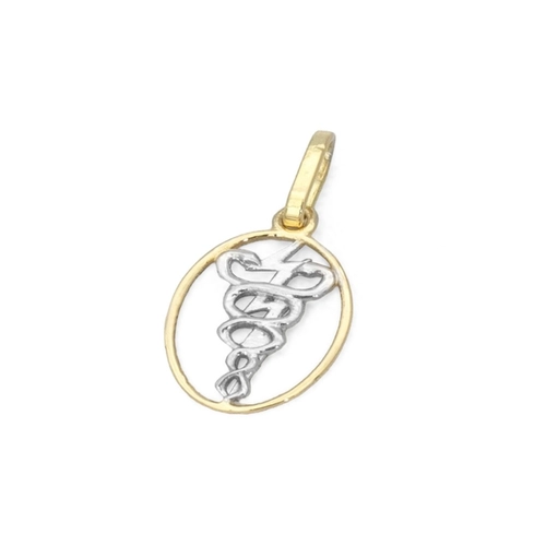 Pingente de Formatura Profissão Fisioterapia em Ouro Amarelo e Ouro Branco 18K P