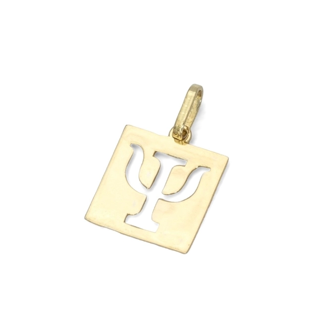 Pingente de Formatura Profissão Psicologia em Ouro Amarelo 18K P