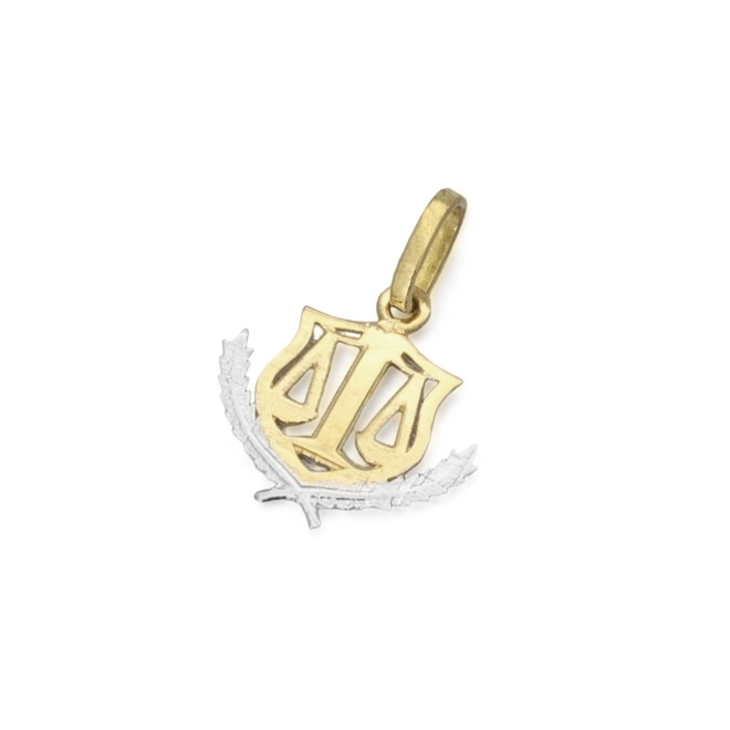 Pingente de Formatura Profissão Nutrição em Ouro Amarelo e Ouro Branco 18K P