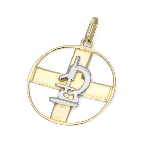 Pingente de Formatura Profissão Biomedicina em Ouro Amarelo e Ouro Branco 18K
