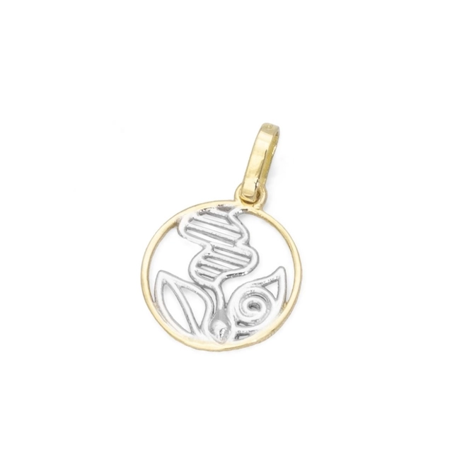 Pingente de Formatura Profissão Biologia em Ouro Amarelo e Ouro Branco 18K P