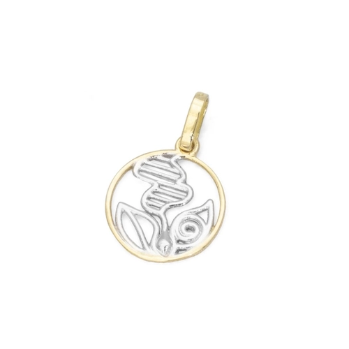 Pingente de Formatura Profissão Biologia em Ouro Amarelo e Ouro Branco 18K P